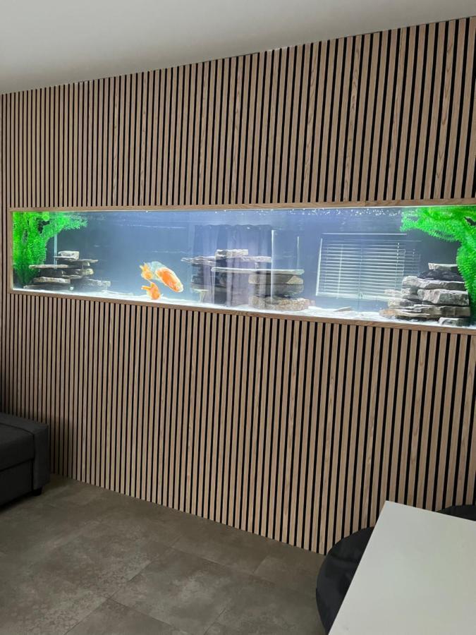 Terfyn Hall Aquarium Apartment 1 Prestatyn Eksteriør bilde